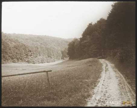 Chemin de campagne (Schwalbach)